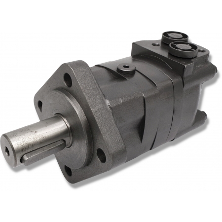 SILNIK HYDRAULICZNY BMS SMS OMS 125 cm3 ALSG3 GR3